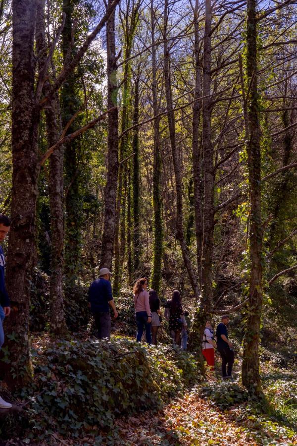 La Canada Del Valle Del Jerte Navaconcejo Εξωτερικό φωτογραφία