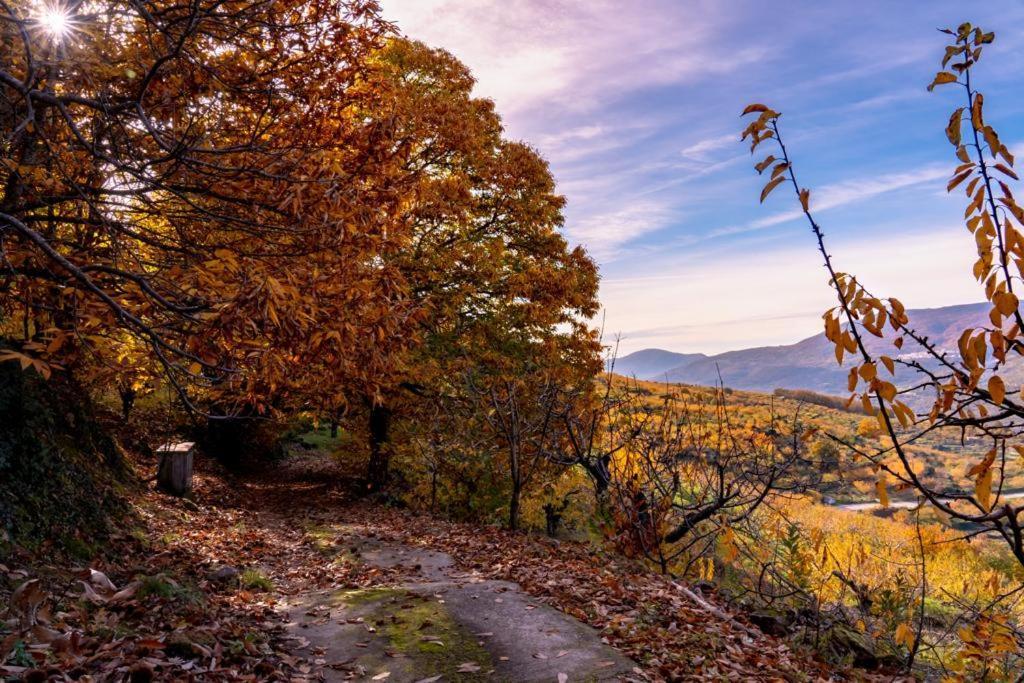 La Canada Del Valle Del Jerte Navaconcejo Εξωτερικό φωτογραφία